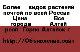 Более200 видов растений почтой по всей России › Цена ­ 100-500 - Все города  »    . Алтай респ.,Горно-Алтайск г.